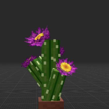 Cactus on pot