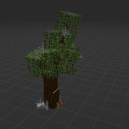 Small spruce tree