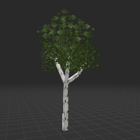 Birch Tree