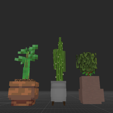 plants