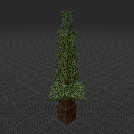 spruce