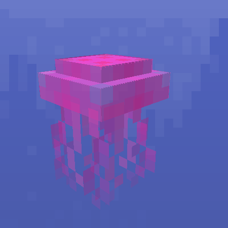 Jellyfish