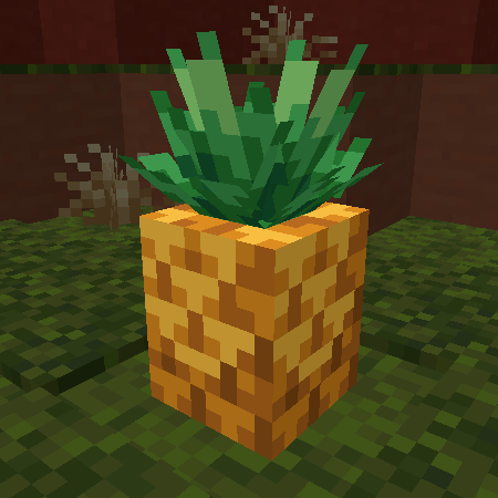 A Pineapple | Ананас