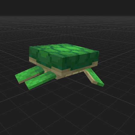 Baby Turtle corpse