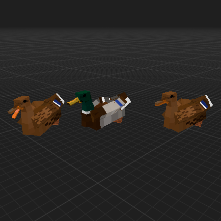 Ducks