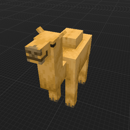 Baby Camel