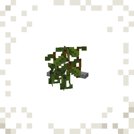 simple bush