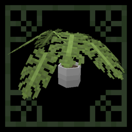 Monstera [in a pot]