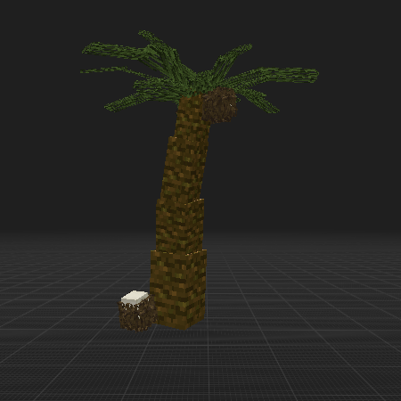 Palm tree with coconats