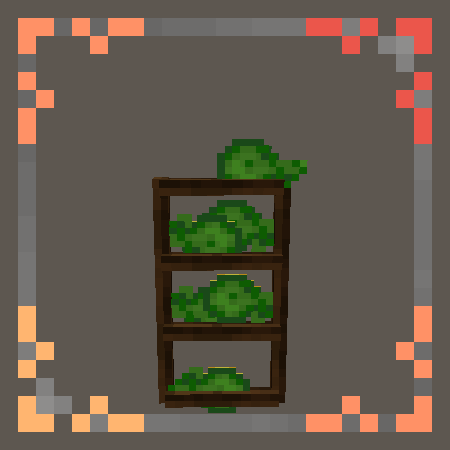 shelves with a plant