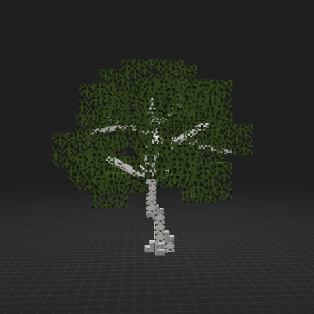 Birch Tree