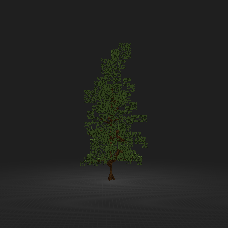 Spruce Tree