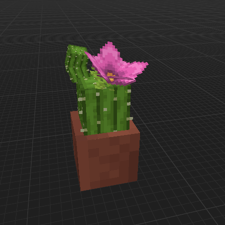 Cactus in the pot